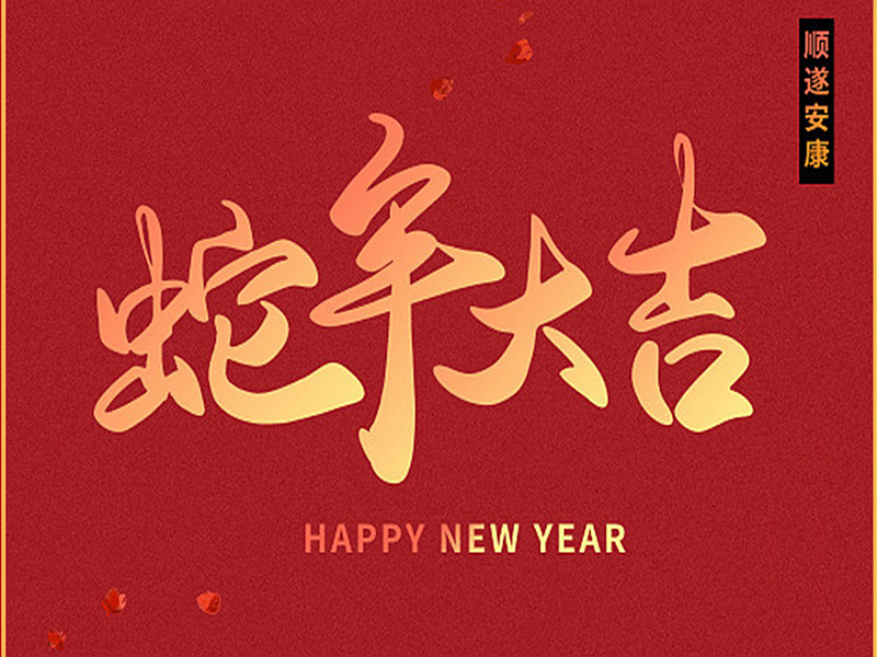 祥龙回首展佳绩，金蛇昂首启新程！